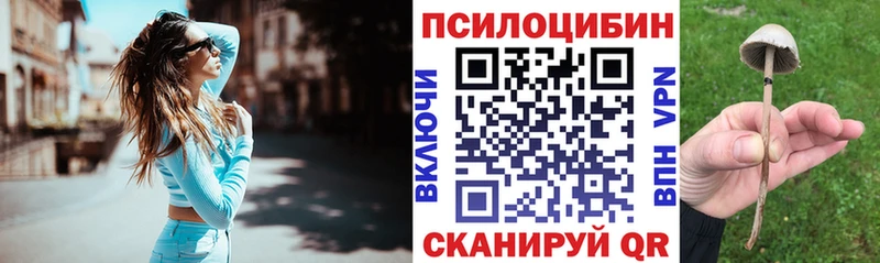 Псилоцибиновые грибы Cubensis  Купить закладки  Велиж 