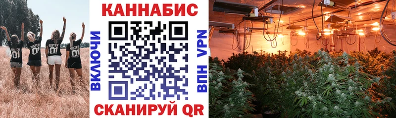 Купить  Велиж  МАРИХУАНА Bruce Banner 