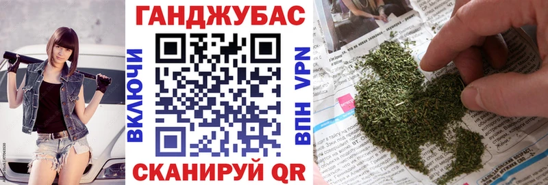 Конопля сатива Велиж